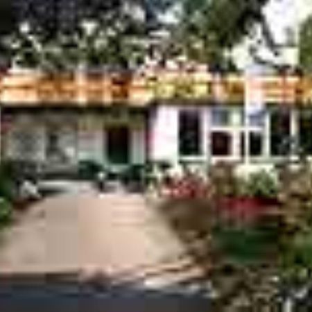 Pension Puschmann Chemnitz Exterior foto