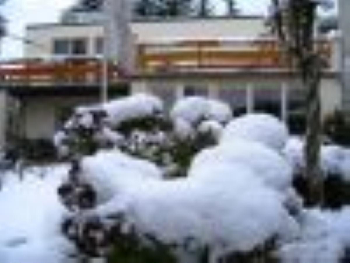 Pension Puschmann Chemnitz Exterior foto
